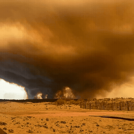 Stefan Rahmstorf filmed his view of the fires from his holiday in Lacanau last week.