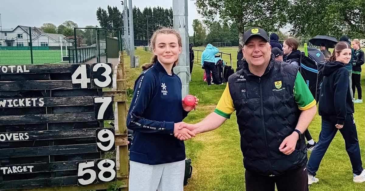 Kilcullen Diary: Another cricket award for Stu Conroy