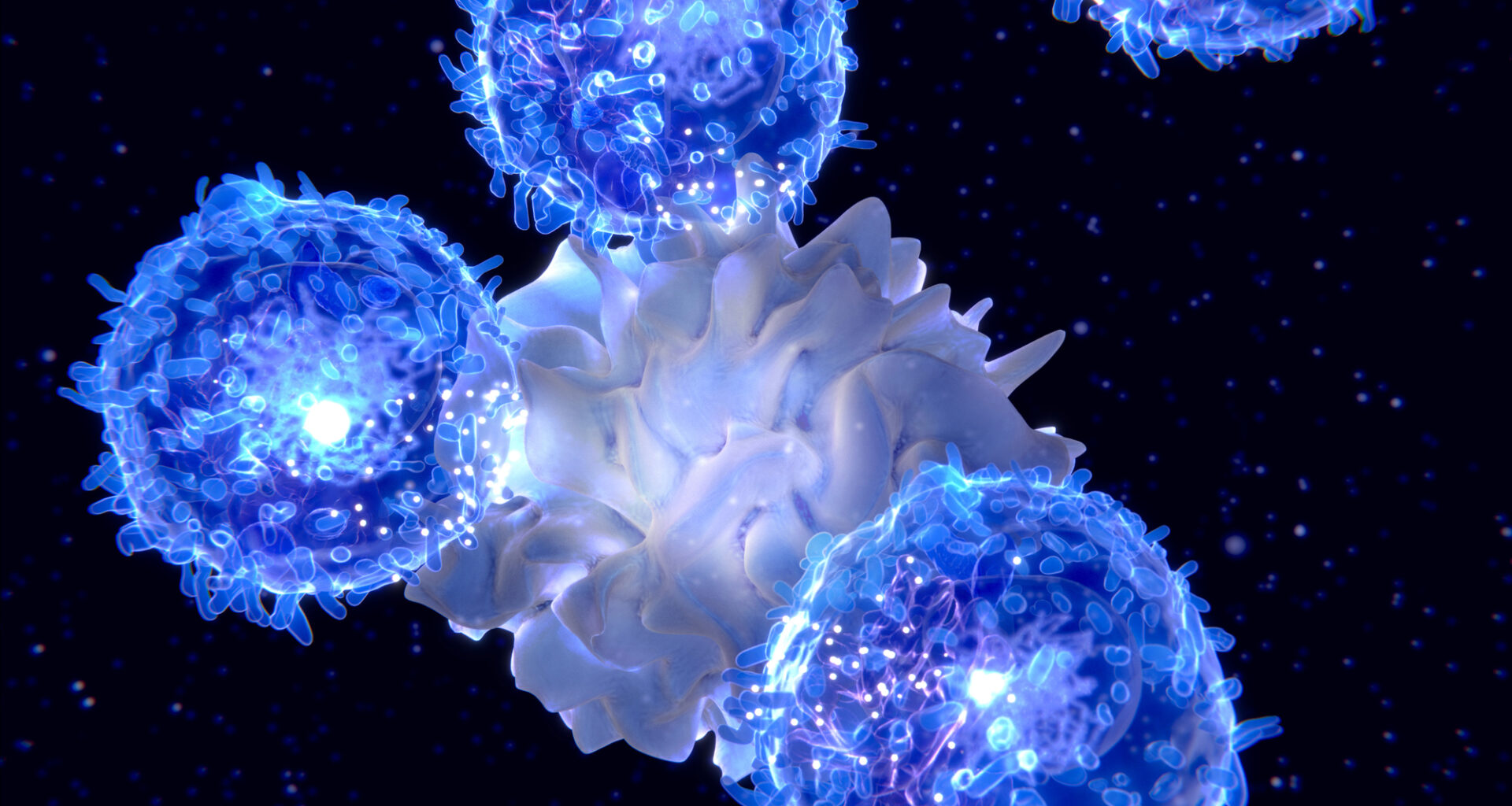 Dendritic Cells Identified as Key Organizers of Anti-Tumor Immune Hubs