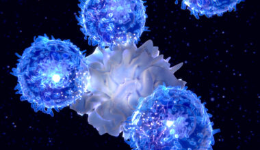 Dendritic Cells Identified as Key Organizers of Anti-Tumor Immune Hubs