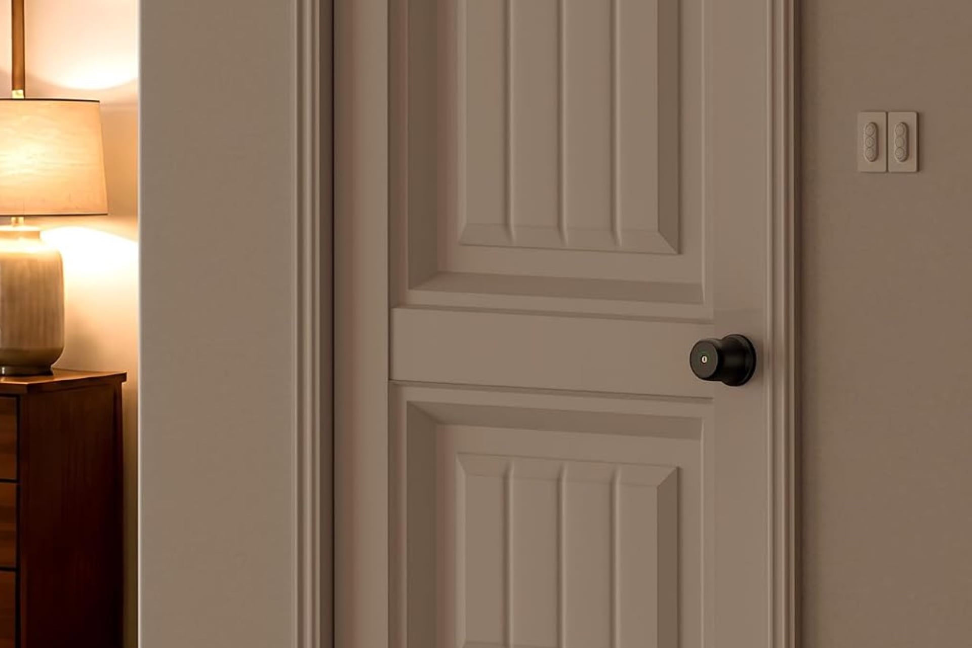 The ThorBolt GK1 installed on a door.