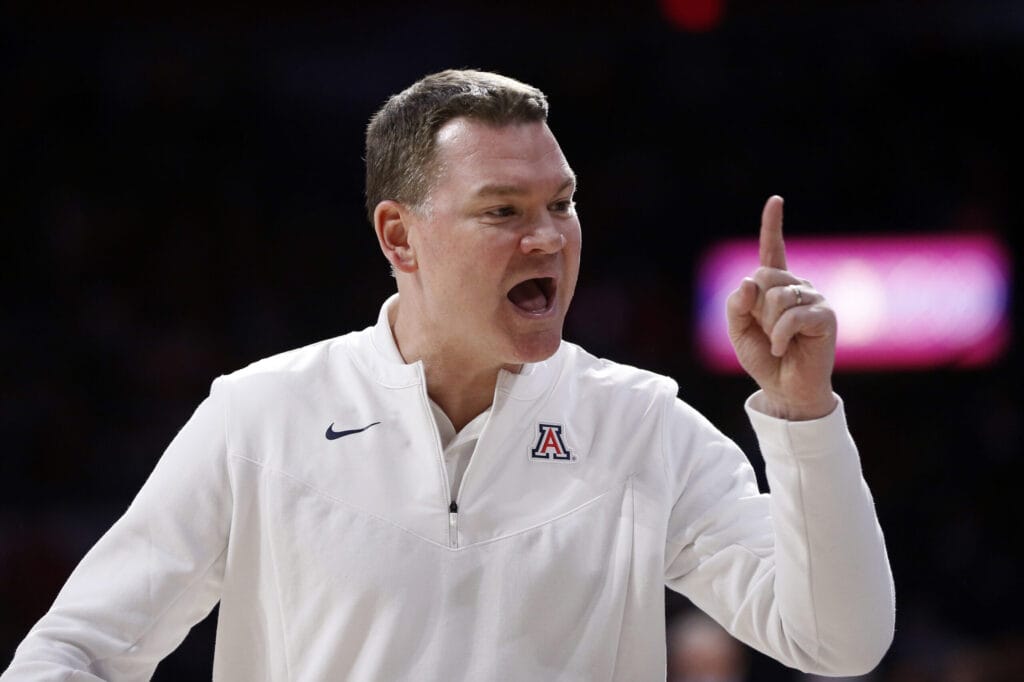Arizona basketball adds another commitment in Borovicanin