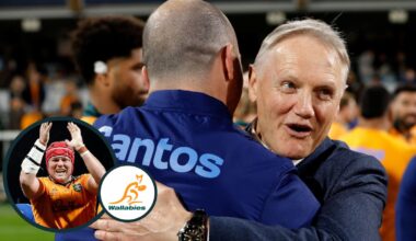 Wallabies: Why the Joe Schmidt tenure was a 'failure' and the statement that 'doesn't wash'