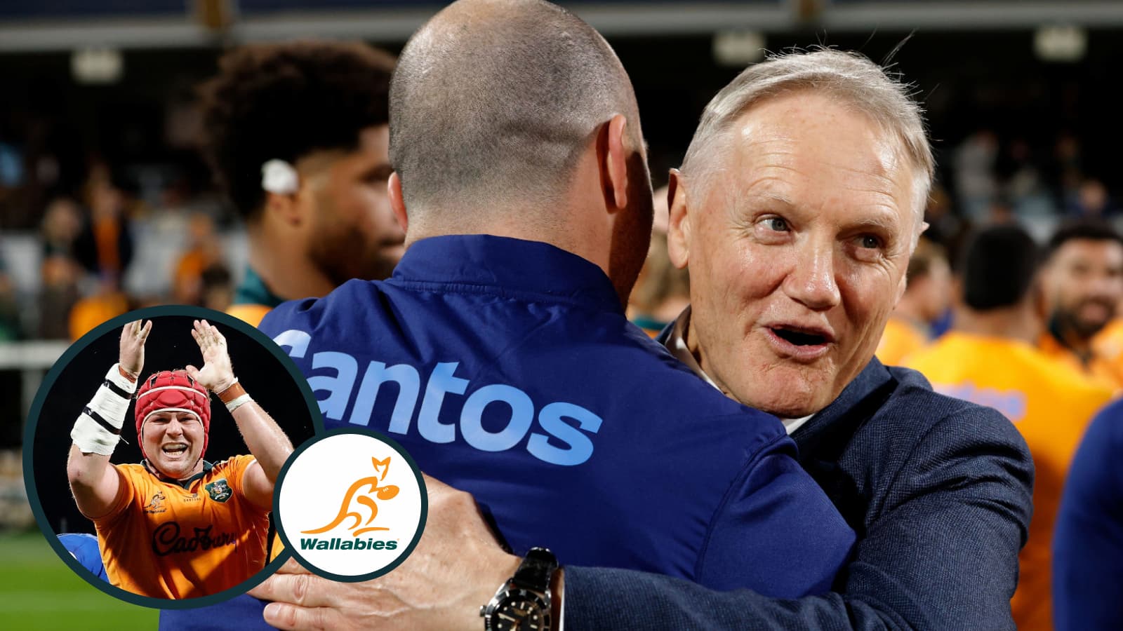 Wallabies: Why the Joe Schmidt tenure was a 'failure' and the statement that 'doesn't wash'