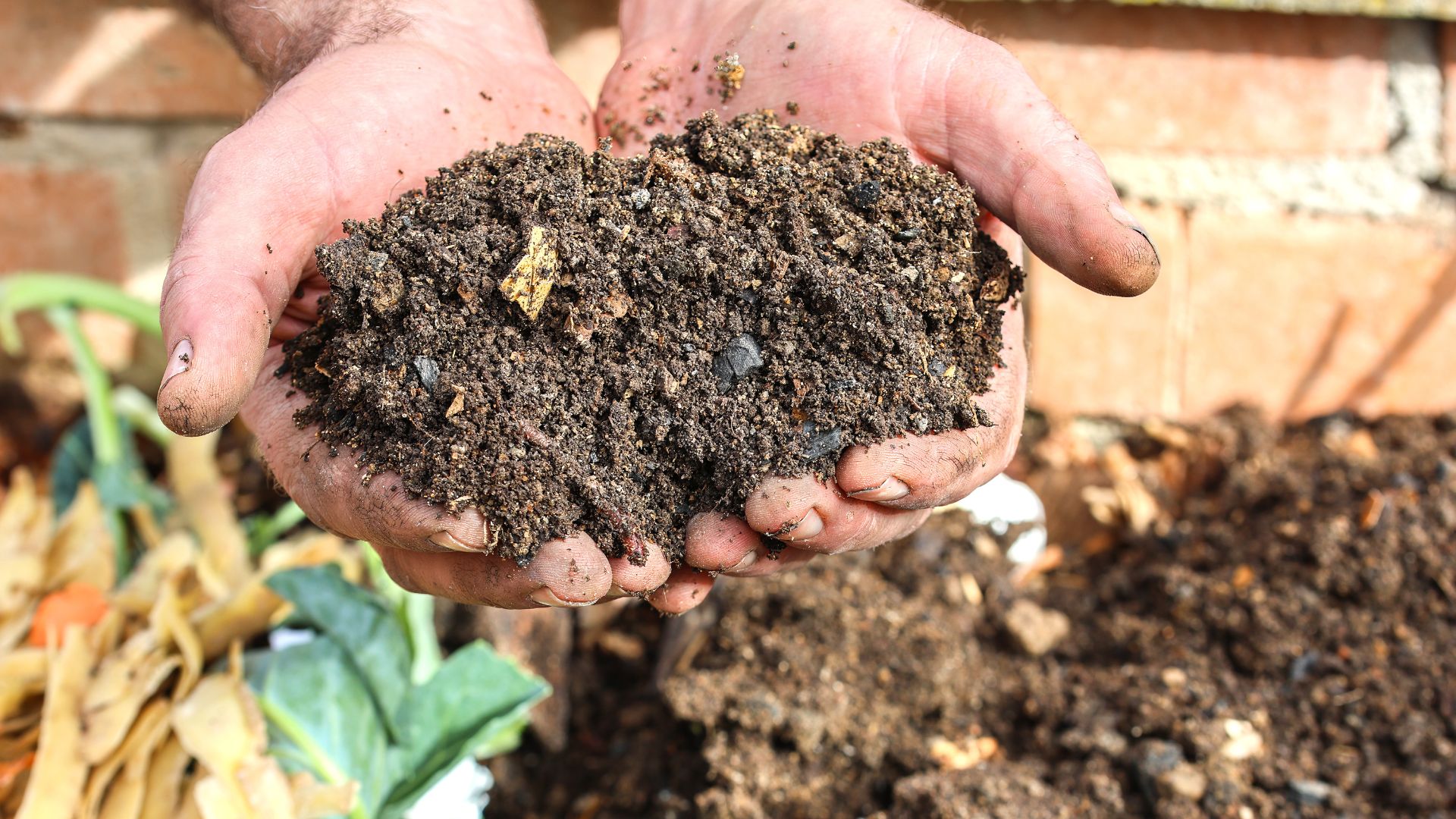 picture of freshly seived compost