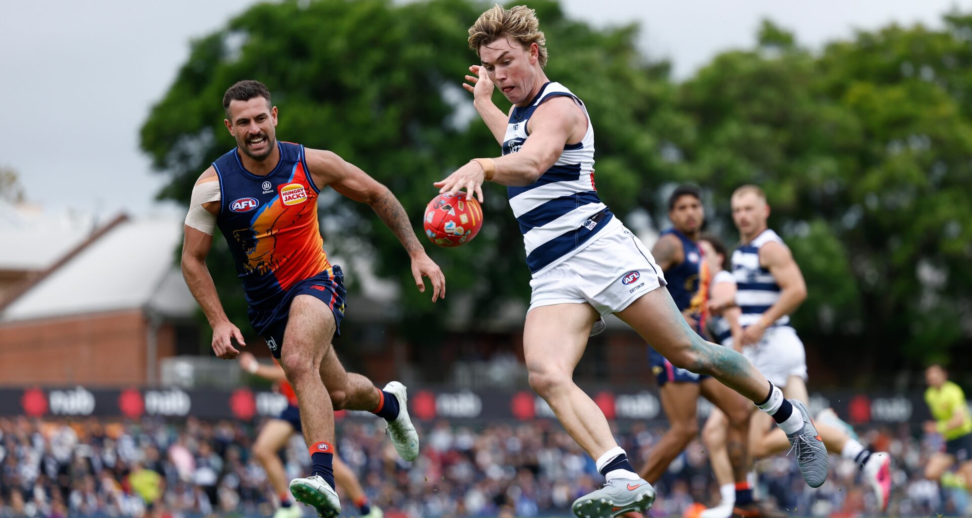 Fantasy TPPs/DPPs revealed: Check out the position updates