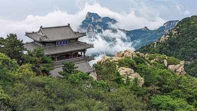 China's 135-kilometre blade fence around Mount Tai is harming wildlife, and scientists say the sharp barriers can cut off mountain ecosystems too