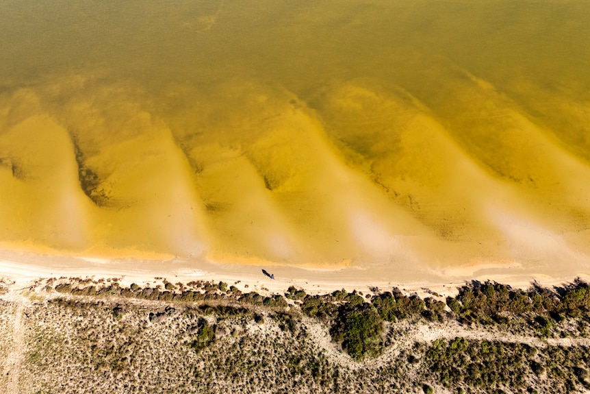 A bird eye view of the Coorong.