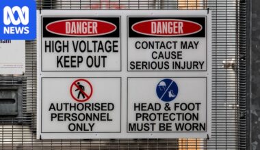 South Australians urged to consider occasional power outages to curb costs