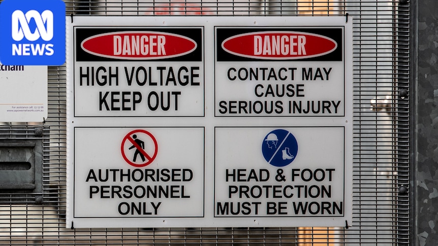 South Australians urged to consider occasional power outages to curb costs