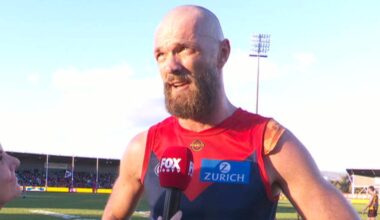 AFL results 2026, Hawthorn Hawks def by Melbourne Demons, Round 17