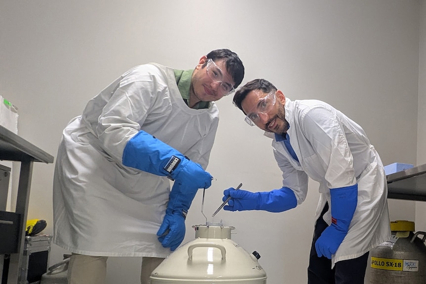 two male scientists with blue globes standing over a white tank