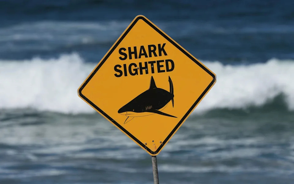 A warning sign on a Sydney beach last month