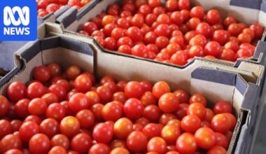 Consumers urged to 'help a farmer out' as high costs and low demand bite