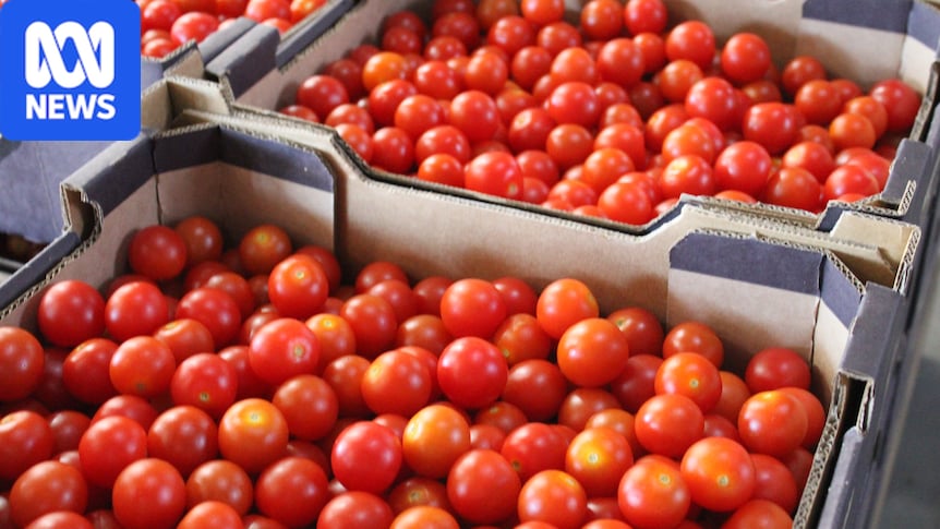 Consumers urged to 'help a farmer out' as high costs and low demand bite