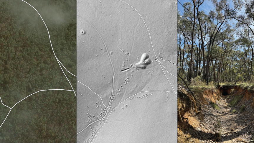 A bird's eye view of trees, juxtaposed with a LiDAR image showing a large object, and a ground shot of a tunnel in the bush.