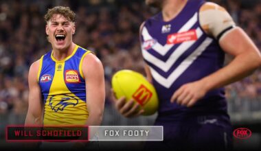 AFL news 2026: Why West Coast Eagles star Harley Reid being is umpired differently to other players, opinion and analysis, Will Schofield column