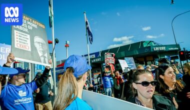 Coalition labels review of 2025 election a 'hyper-partisan witch-hunt'