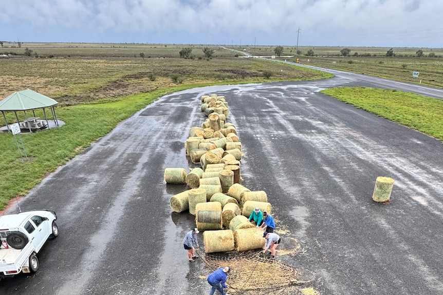 Haybales sitting on an airstrip outside of Clermont, being unwrapped