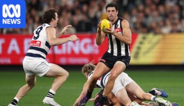 AFL live updates: Collingwood vs Geelong at the MCG blog, scores and stats