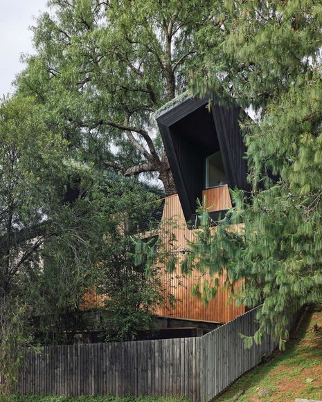 The secondary dwelling was designed around an existing pepper tree. Pictured: Pepper Tree Passive House.