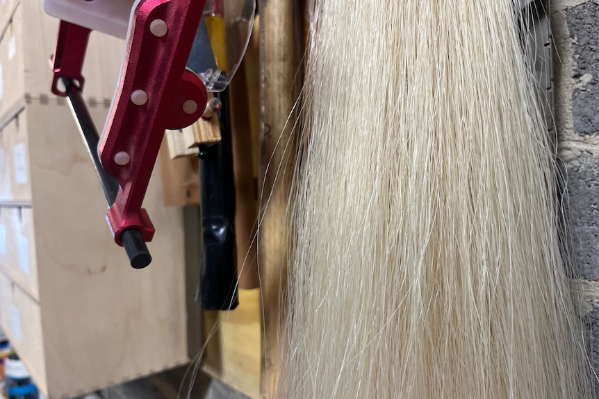 Horse hair for a violin bow hanging in a studio.