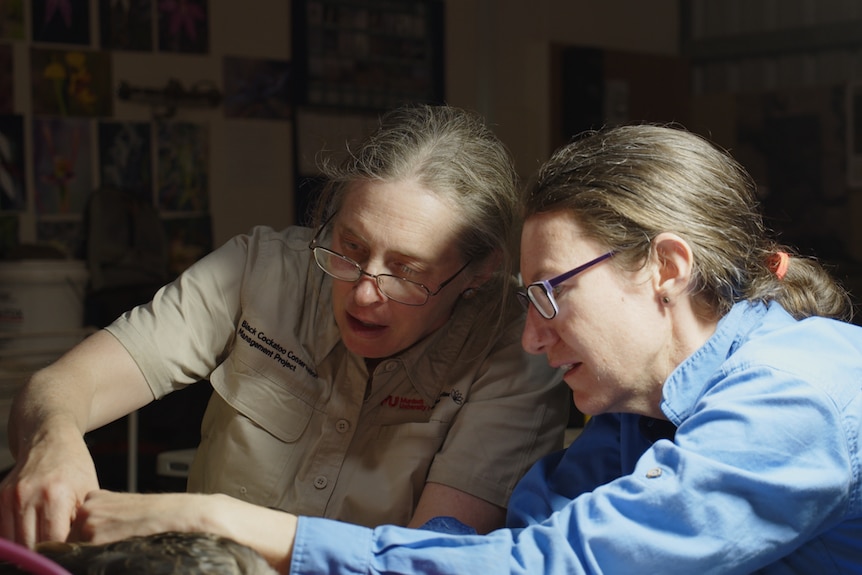Two women tag a bird and talk