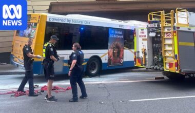 Bus driver found guilty over Brisbane CBD crash that killed Tia Cameron appeals conviction