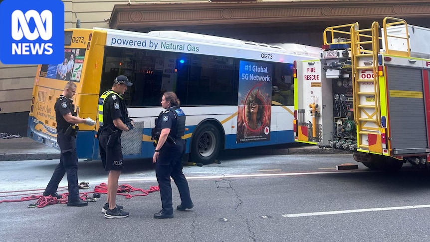 Bus driver found guilty over Brisbane CBD crash that killed Tia Cameron appeals conviction