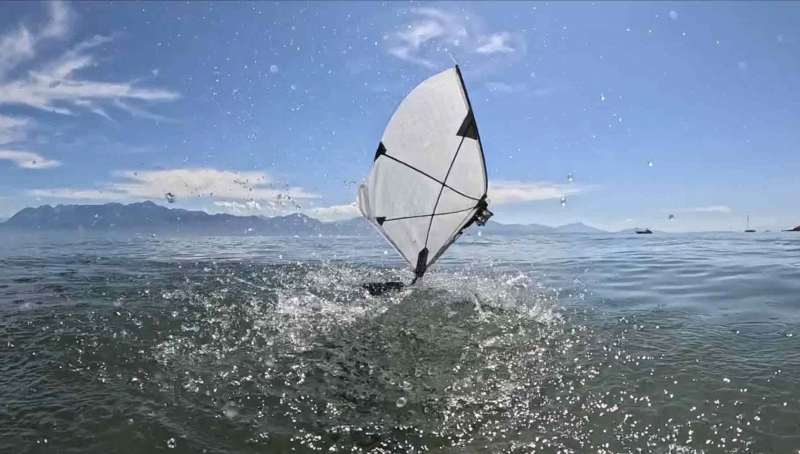 aerial-aquatic robot