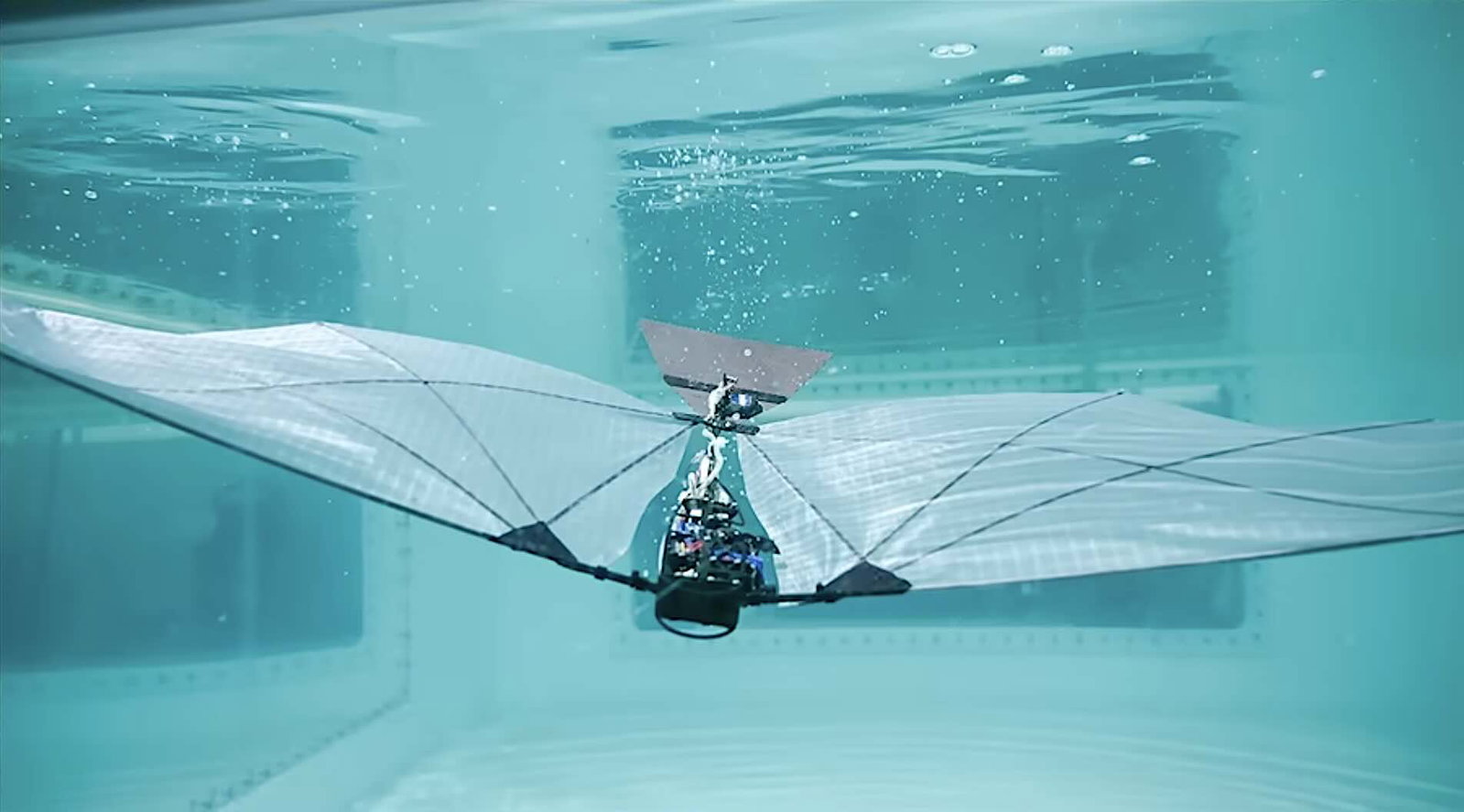 aerial-aquatic robot