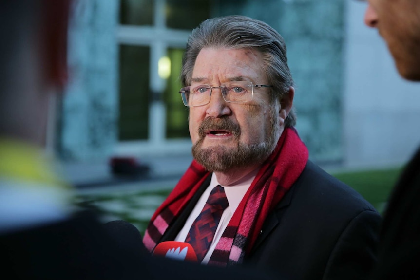 Hinch, dressed in a red scarf, talks to reporters outside Parliament House in Canberra
