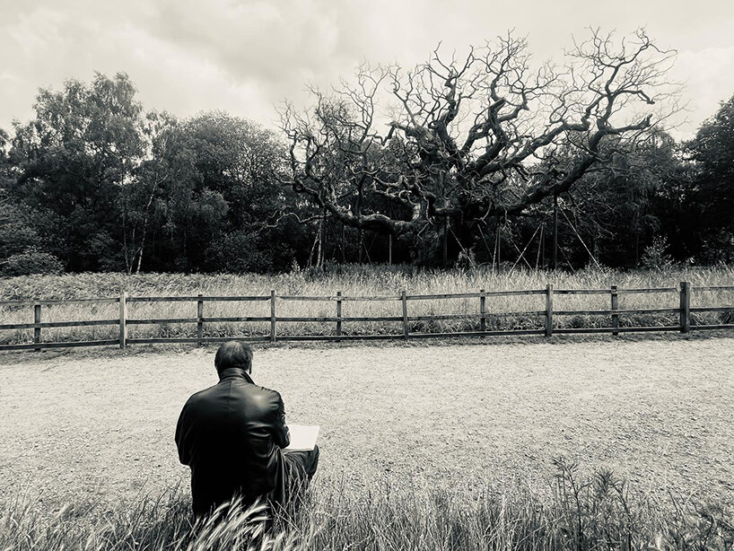 ai weiwei on why a dying tree inspired his first drawing in more than 50 years - 1