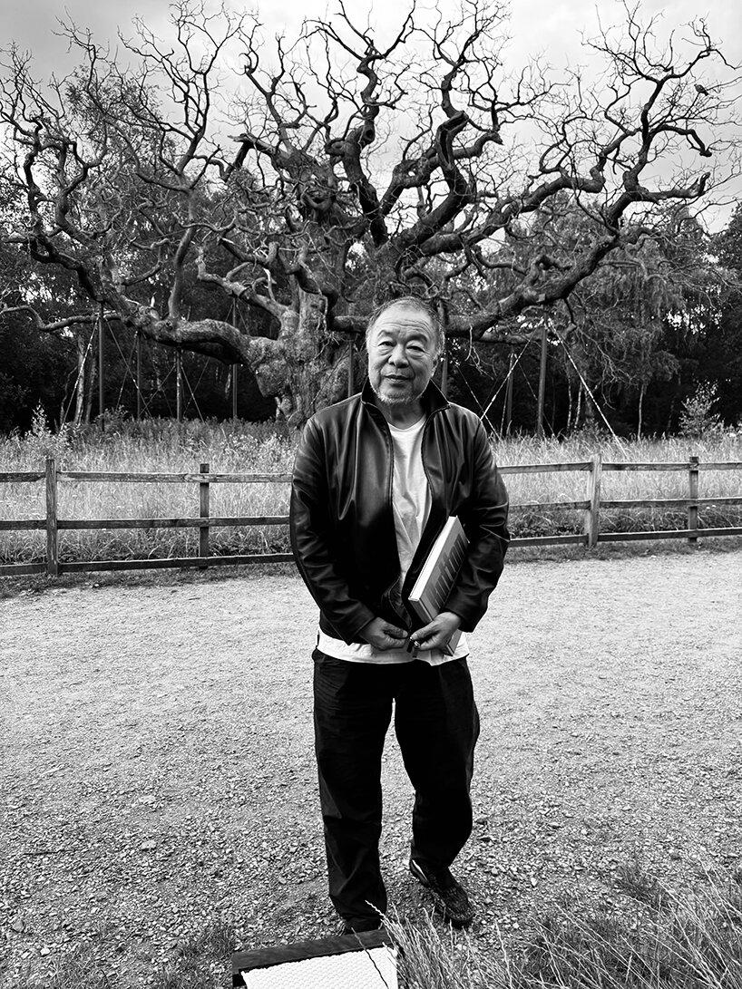 ai weiwei on why a dying tree inspired his first drawing in more than 50 years - 2