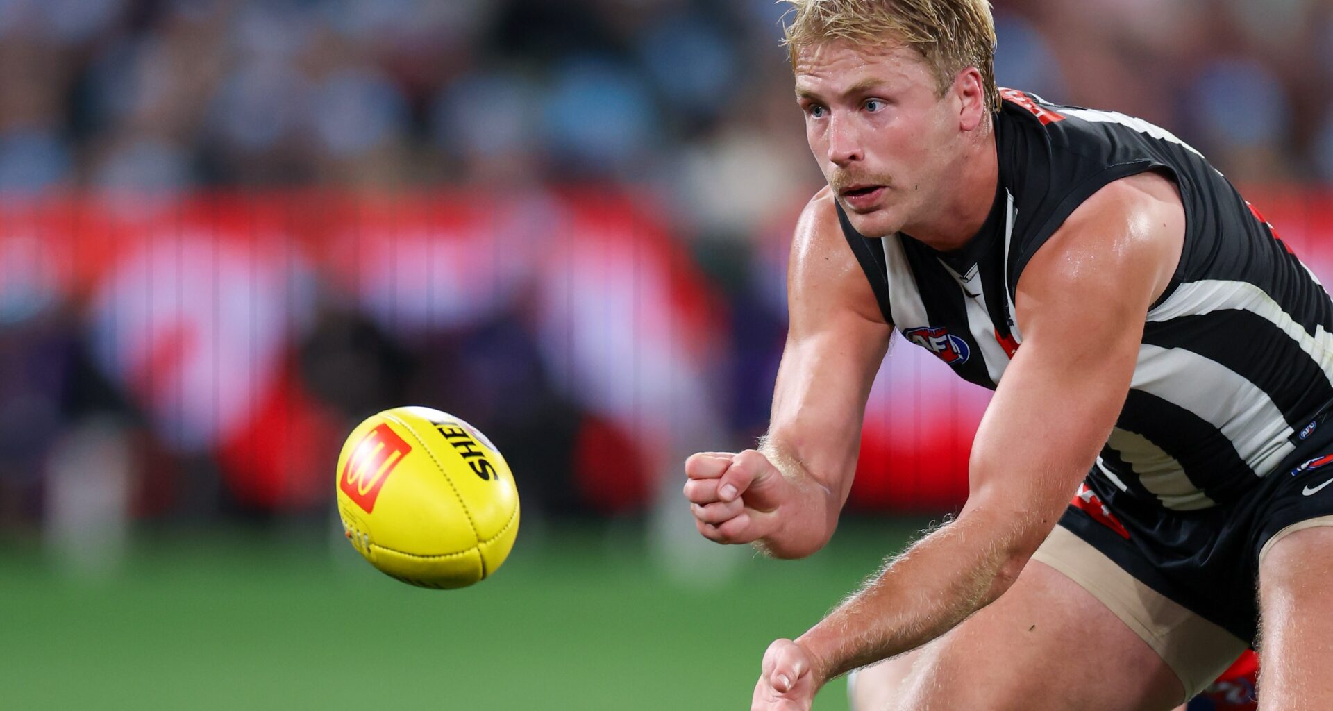The verdict is in: Magpies defender learns his fate at Tribunal
