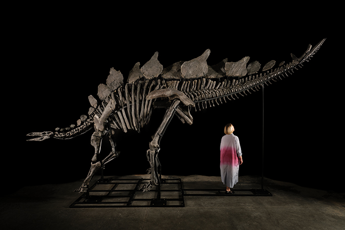 apex-the-stegosaurus-previous-most-expensive-dinosaur-bones-sold-at-auction