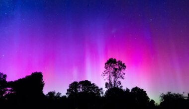 And Expert Explains How To See Tonight's Surprise Aurora Australis In Your City