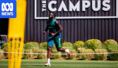 Wolves striker Tolu Arokodare allegedly forces training cancellation after protesting his transfer