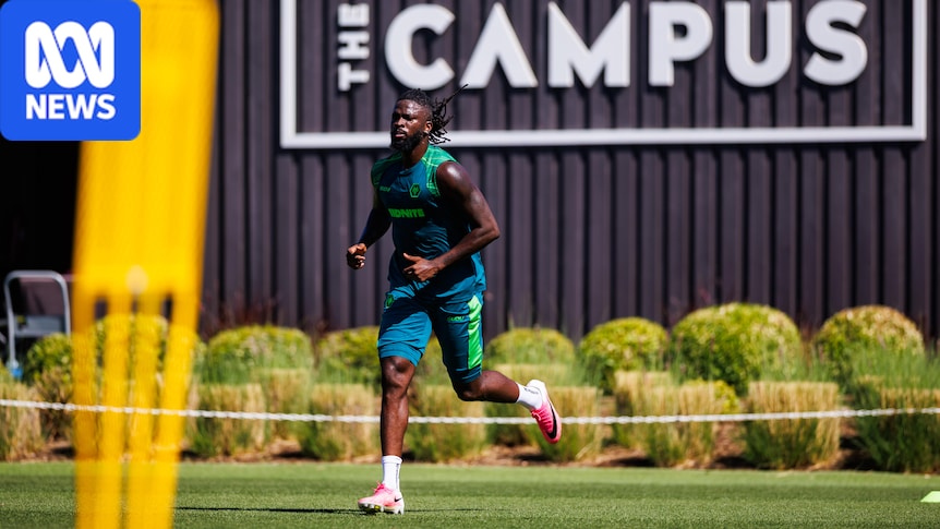 Wolves striker Tolu Arokodare allegedly forces training cancellation after protesting his transfer