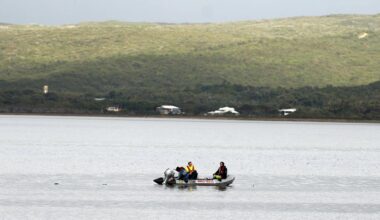 DPIRD issues shark advice after dolphin carcasses reported by Parks and Wildlife officers off Albany harbour