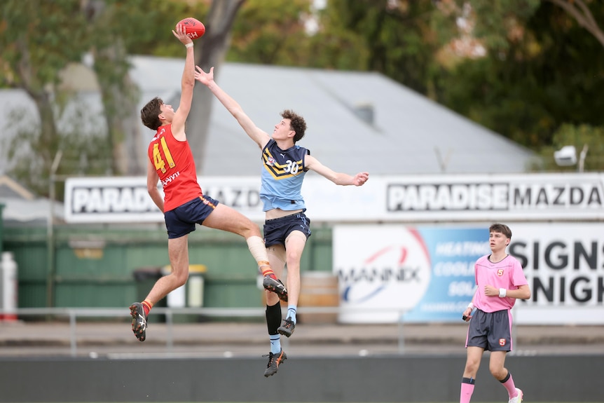 South Australian ruckman Jobe Janeway leaps high for a tap in a recent game
