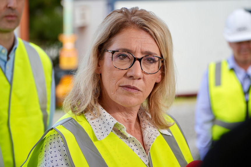 A woman with glasses speaks to reporters.