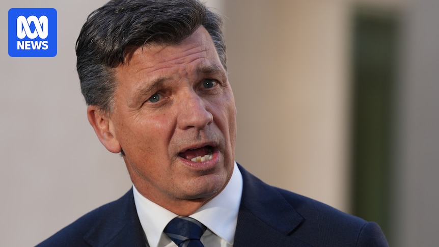 Angus Taylor says One Nation policies would bring 'eternity of pain' to economy