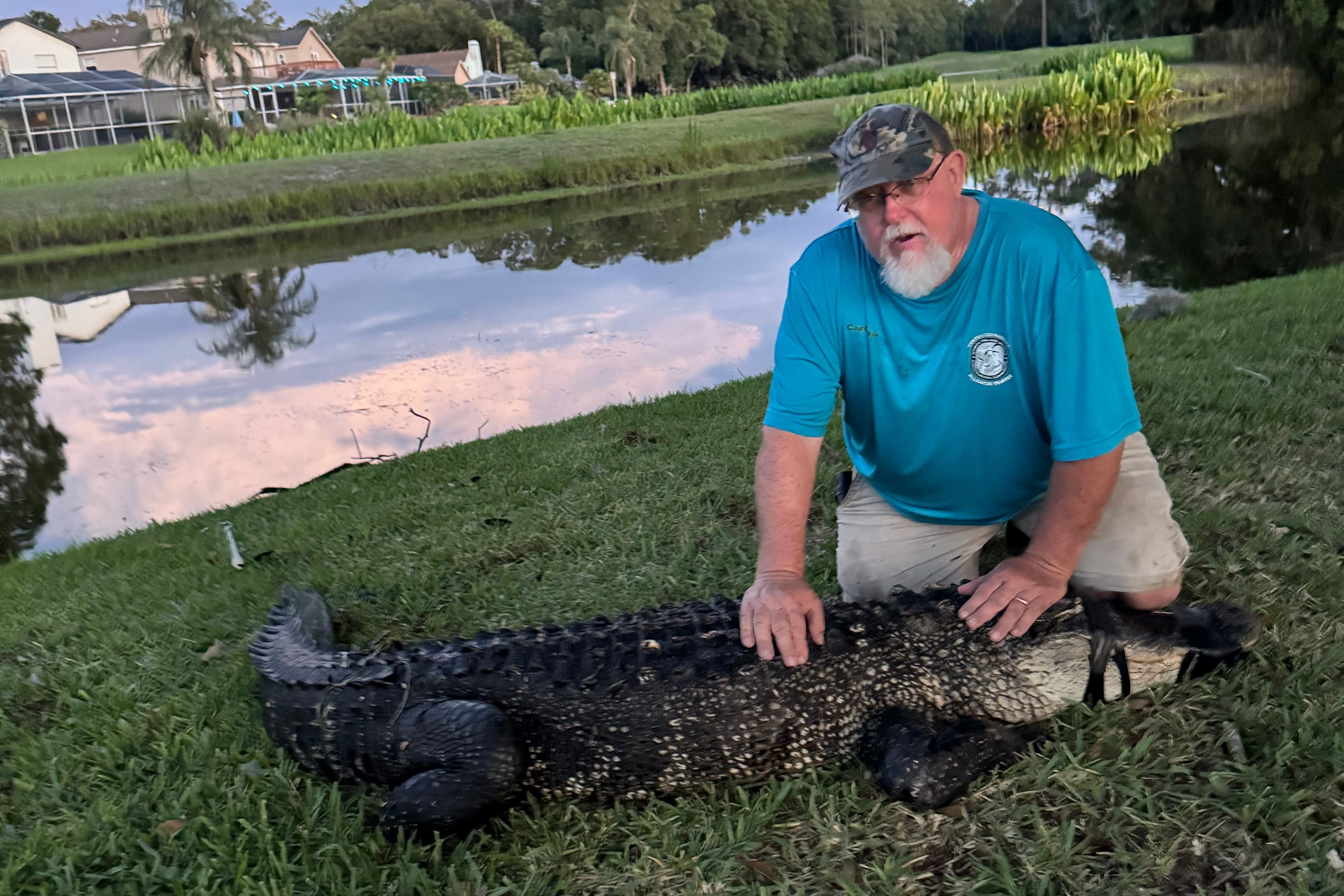 A white man with white hair and beard posing with an alligator next to a pond.