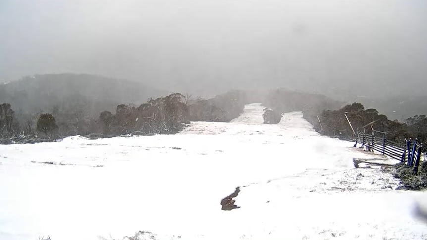 (Supplied: Thredbo Australia)
