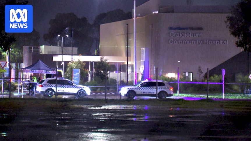 Teenager charged with murder after death of boy in Melbourne's north
