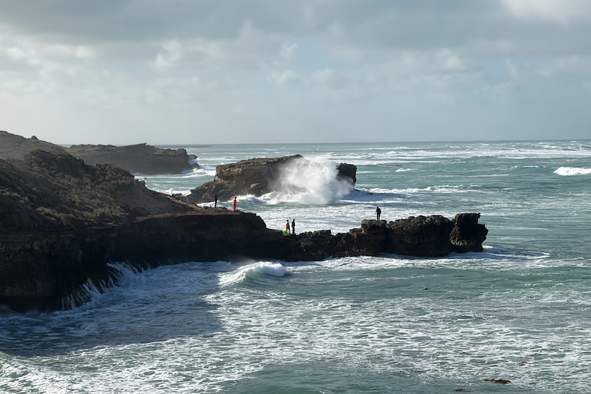 Five emergency personnel standing on the edge of the rock by the ocean.