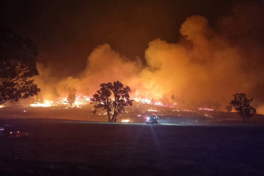 A photo of a bushfire taken during the night.