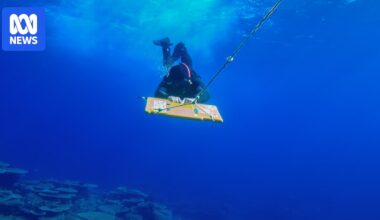 Great Barrier Reef's long-term monitoring program celebrates 40 years