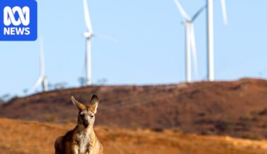 As clean energy investment faces headwinds, superannuation could help fill the funding gap